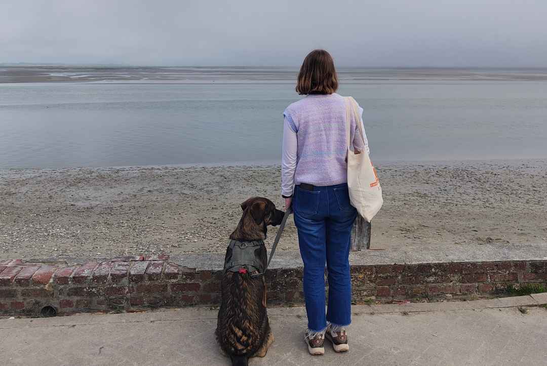 road trip avec son chien