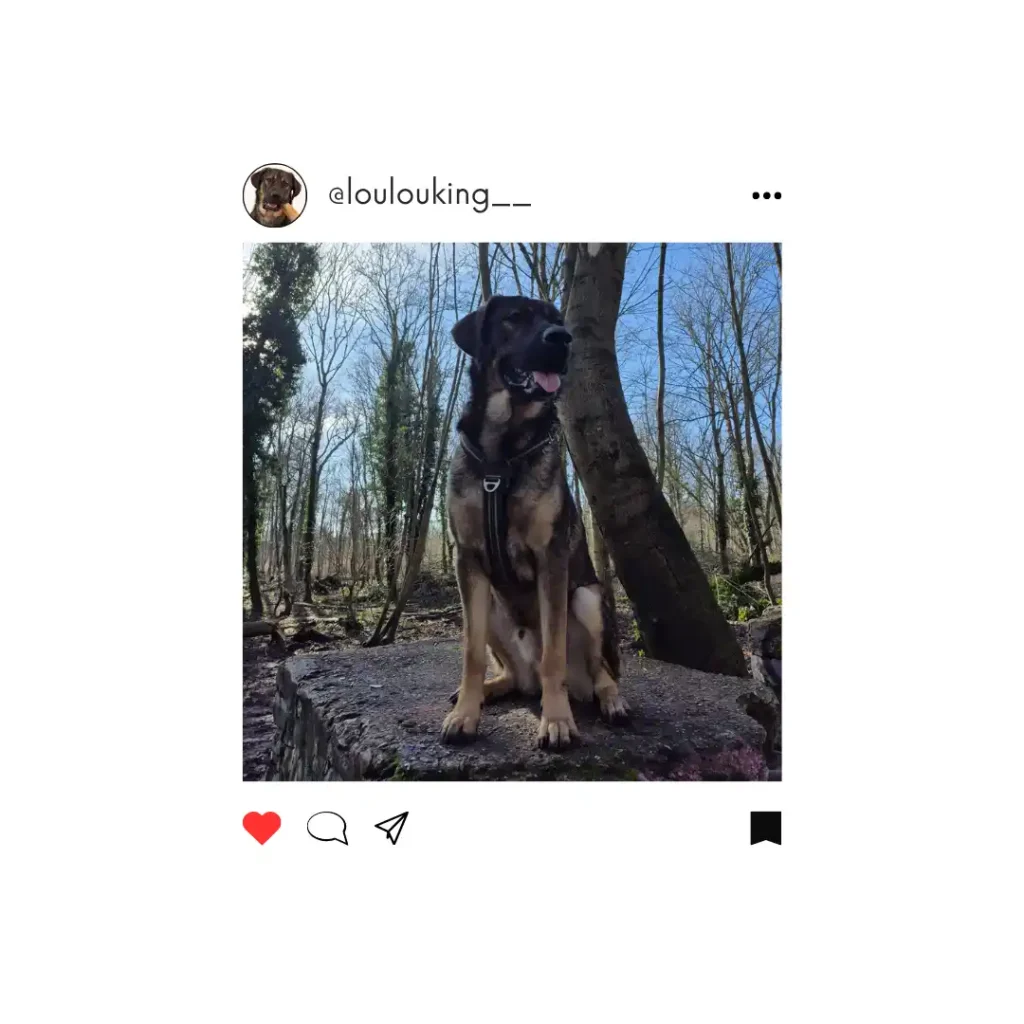 Loulouking instagram