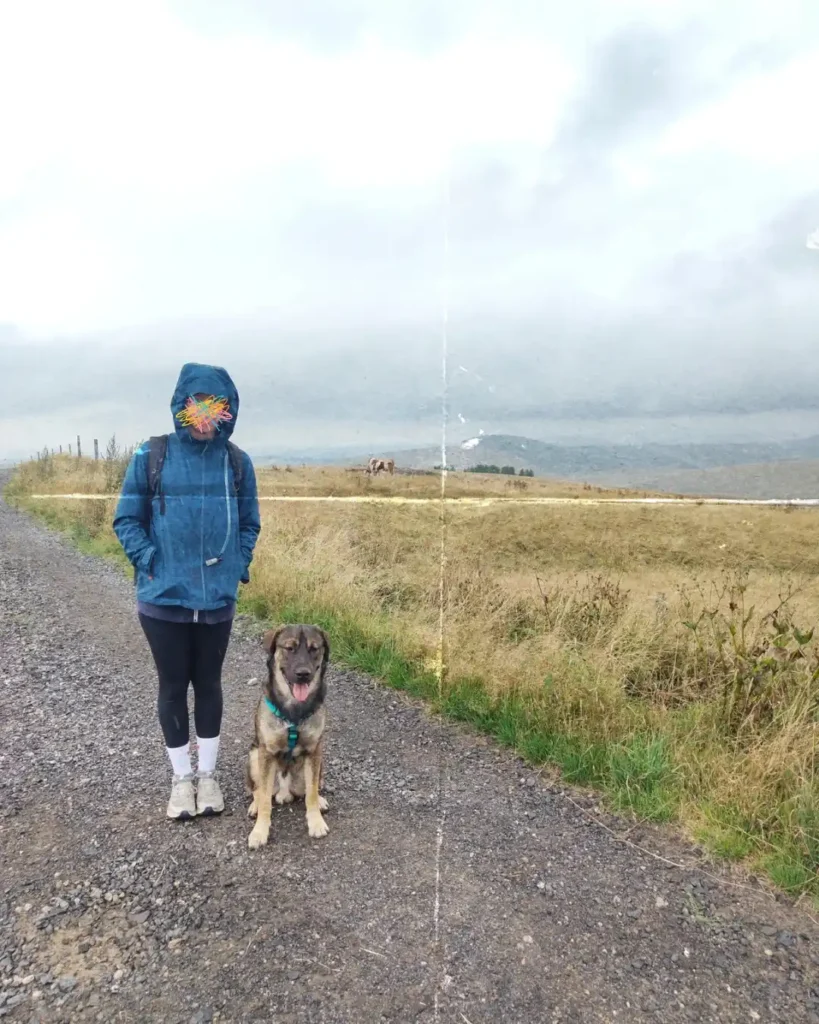 Road trip avec son chien