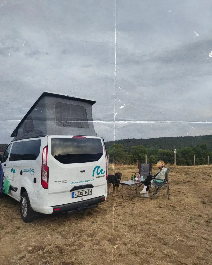 Road trip avec son chien