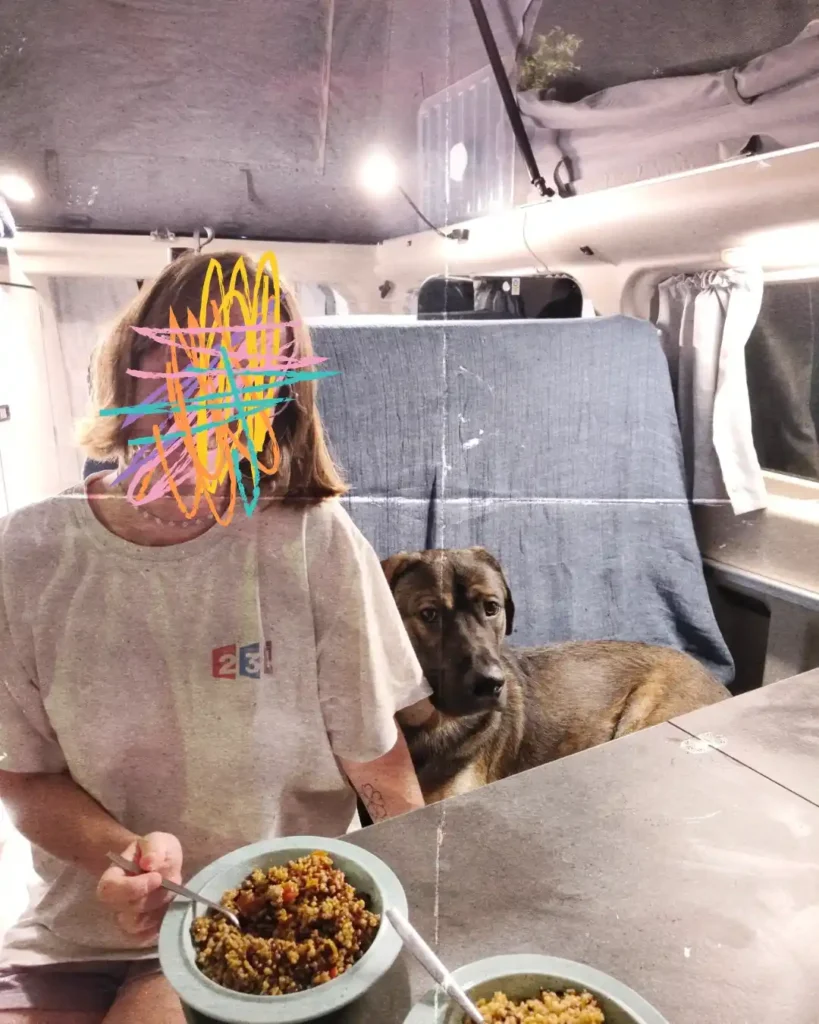 Road trip avec son chien