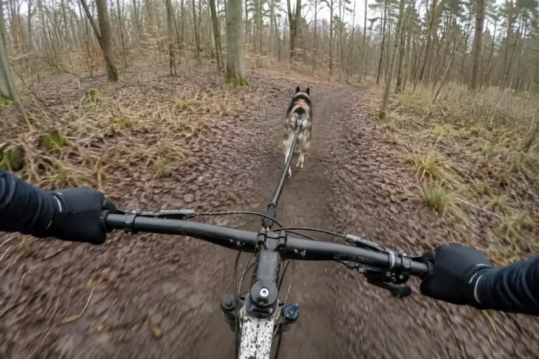 cani vtt