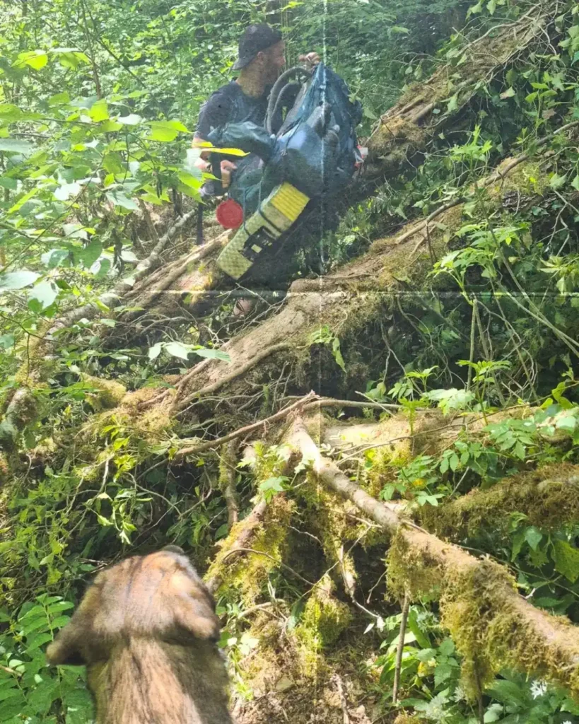 randonner avec son chien